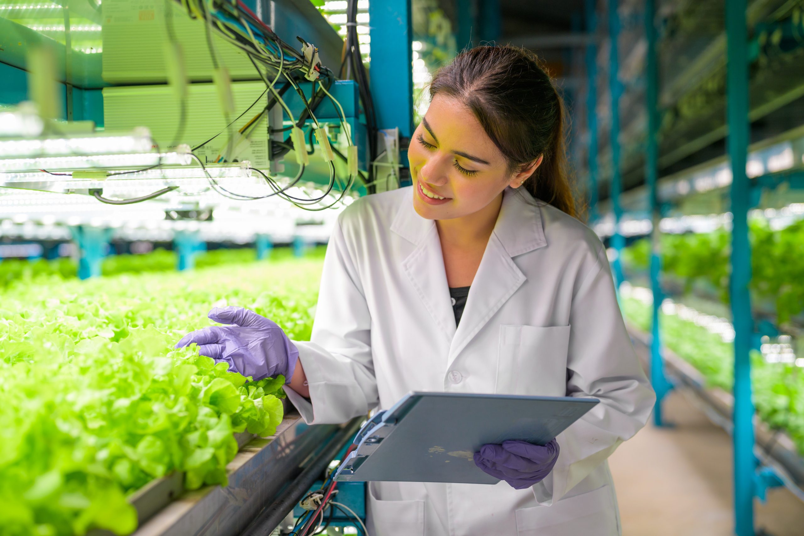 Vertical Farming: The Future of Sustainable Agriculture?